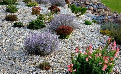 Rock Landscaping in Spring